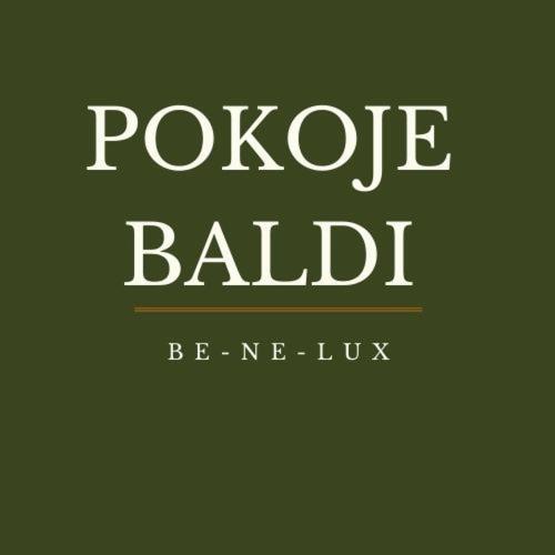 Pokoje Baldi Benelux Skoczów Εξωτερικό φωτογραφία